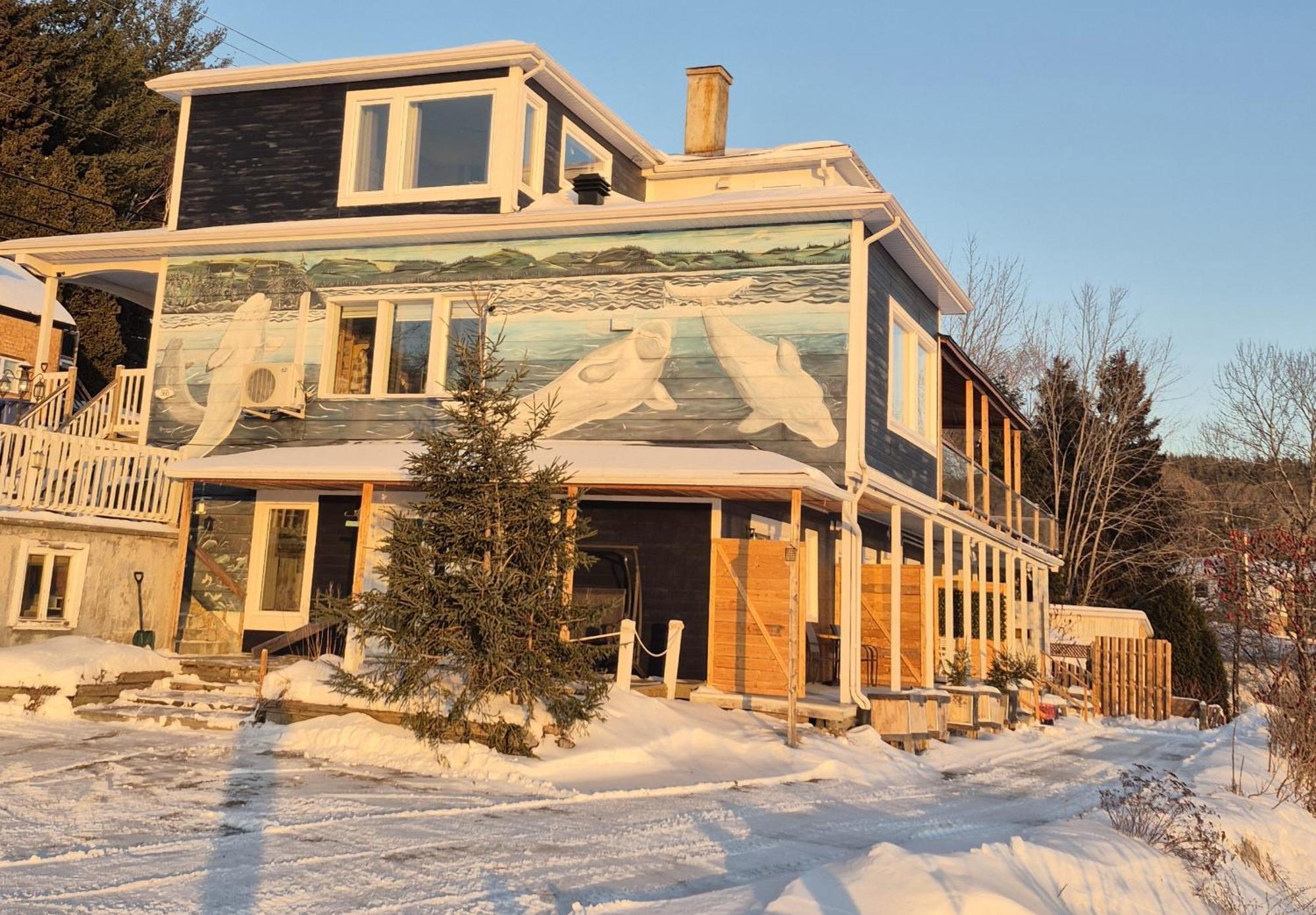 Suite 2 Fleche Du Fjord Vue Saguenay Mont Valin Saint-Fulgence Exterior foto